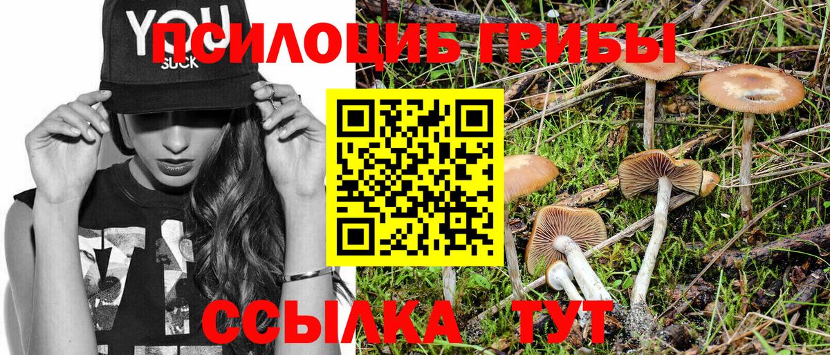 купить наркотик  Галлюциногенные грибы ЛСД  Вход с VPN  Коркино 