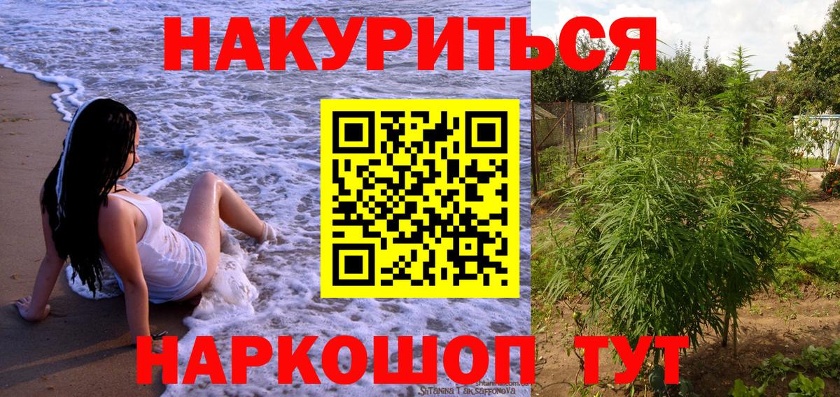 Канабис гибрид Коркино